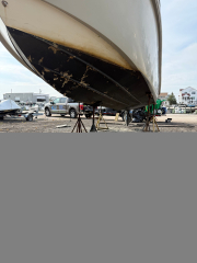 1_Everglades-2300-3